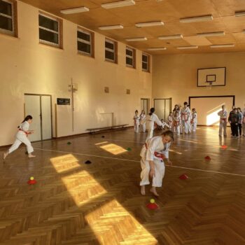 Zajęcia karate.