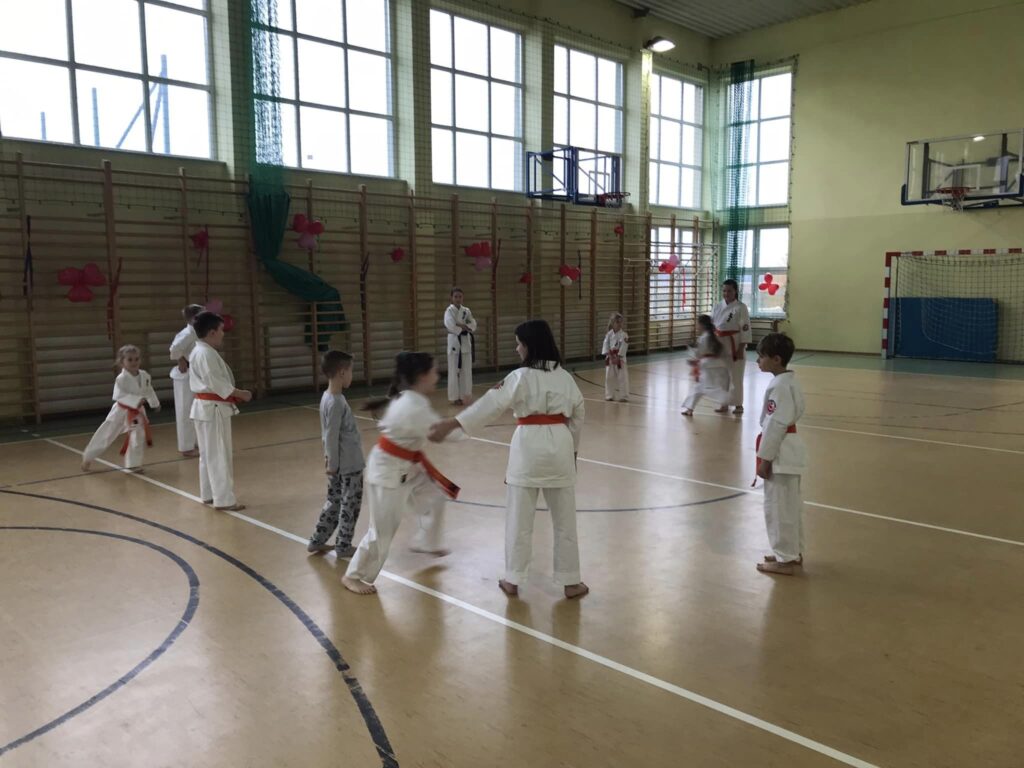 Zajęcia karate.