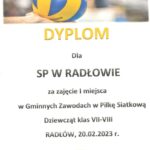 Gminne zawody w piłkę siatkową