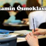  Egzamin Ósmoklasisty