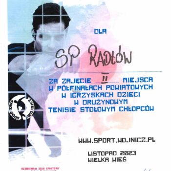 Tenis stołowy